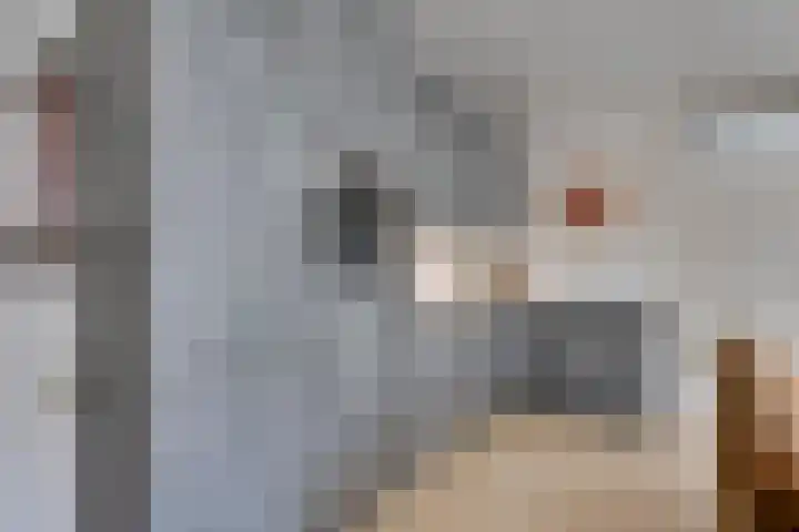 Moersbergen 1 Eindhoven thumbnail 14