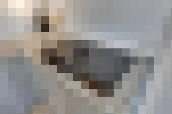 Moersbergen 1 Eindhoven thumbnail 18