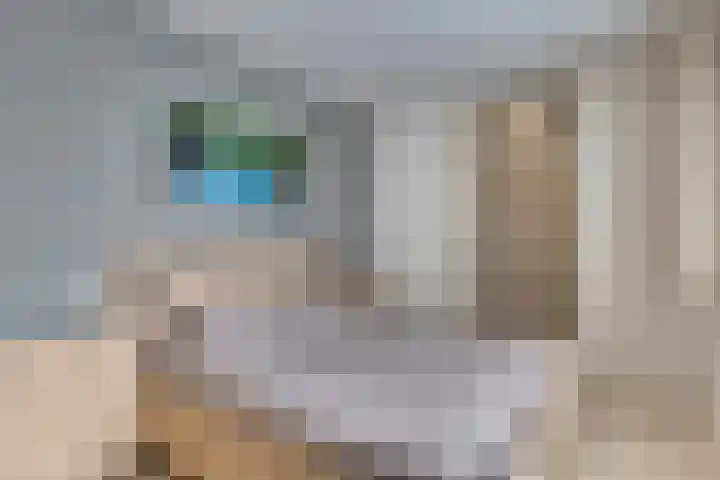 Moersbergen 1 Eindhoven thumbnail 23