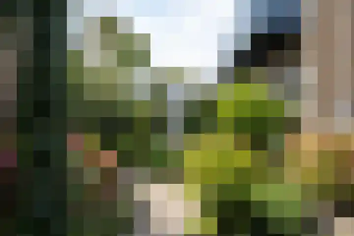 Moersbergenlaan 24 Arnhem thumbnail 21