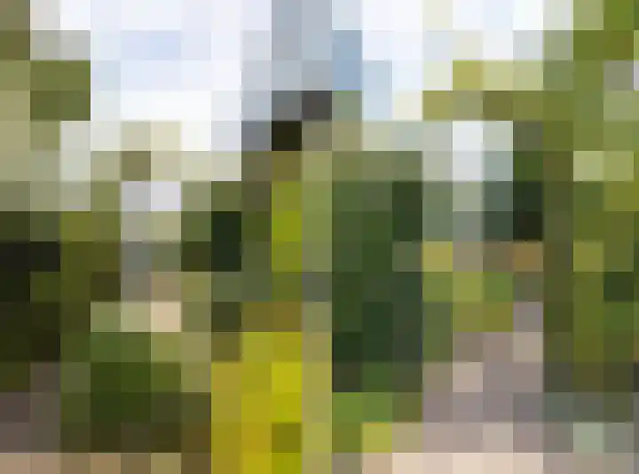 Moersbergenlaan 24 Arnhem thumbnail 22