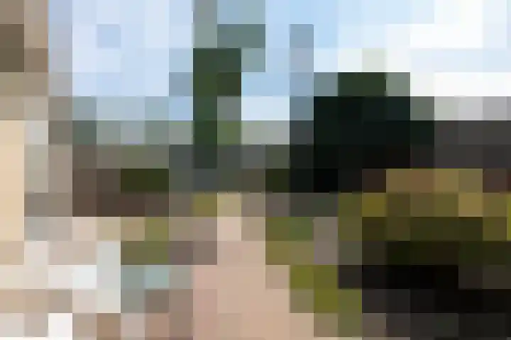 Moersbergenlaan 24 Arnhem thumbnail 23