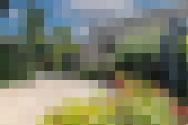 Moersbergenlaan 24 Arnhem thumbnail 25
