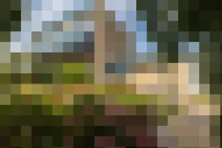 Moersbergenlaan 24 Arnhem thumbnail 49