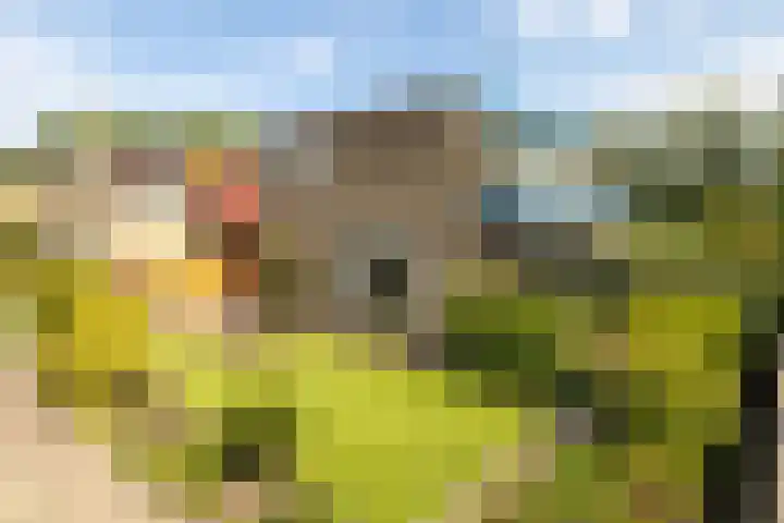 Moersbergenlaan 24 Arnhem thumbnail 54