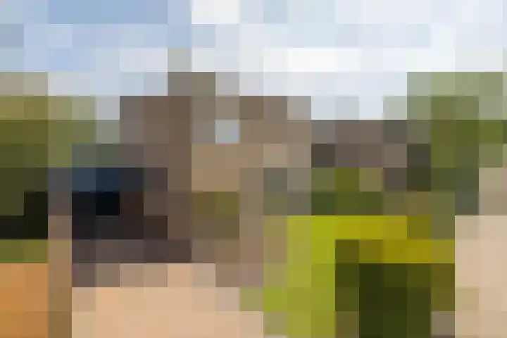Moersbergenlaan 24 Arnhem thumbnail 6