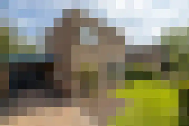 Moersbergenlaan 24 Arnhem thumbnail 7