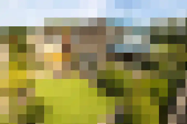 Moersbergenlaan 24 Arnhem thumbnail 8