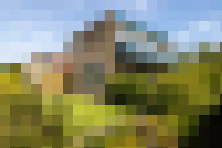 Moersbergenlaan 24 Arnhem thumbnail 9