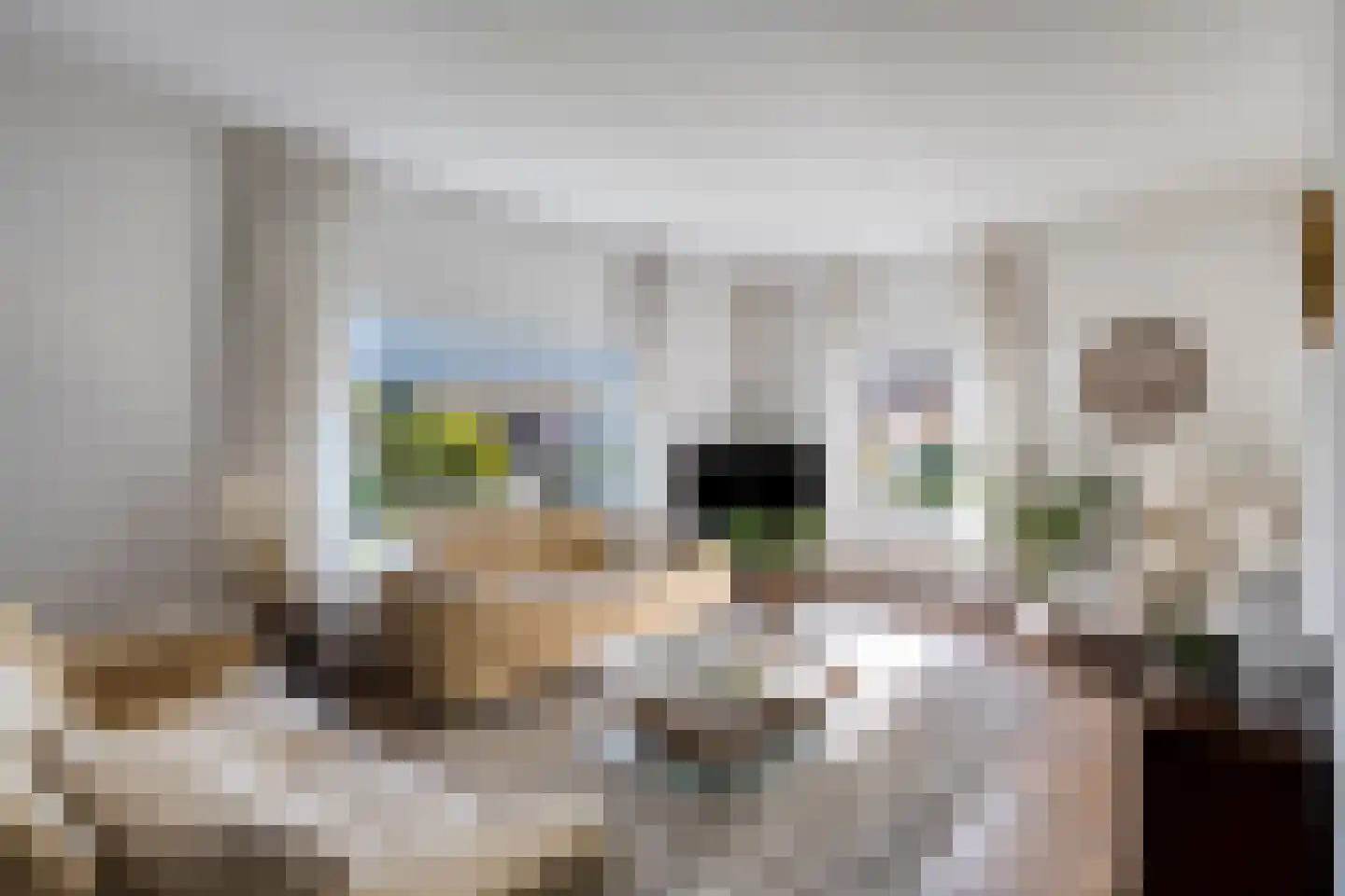 Moersbergenlaan 5 Arnhem thumbnail 12