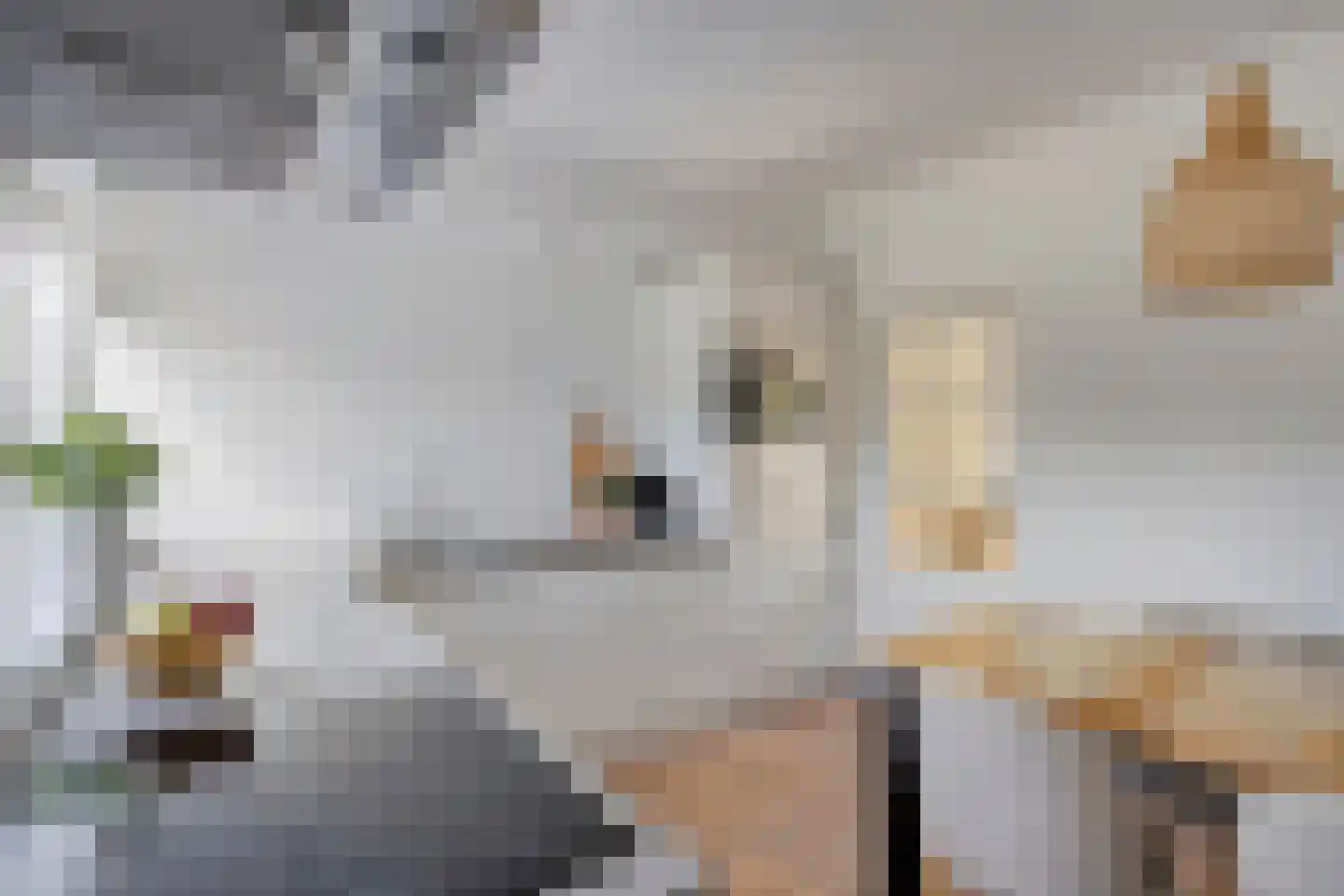 Moersbergenlaan 5 Arnhem thumbnail 14