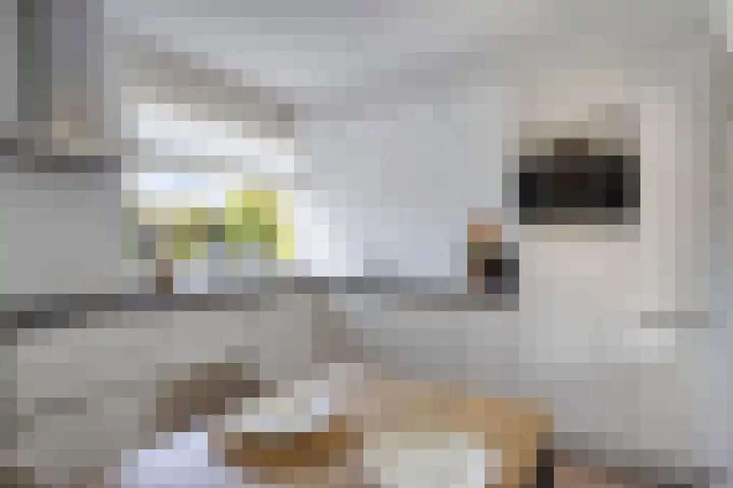 Moersbergenlaan 5 Arnhem thumbnail 16