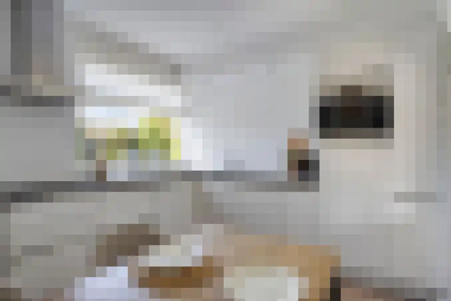 Moersbergenlaan 5 Arnhem thumbnail 16