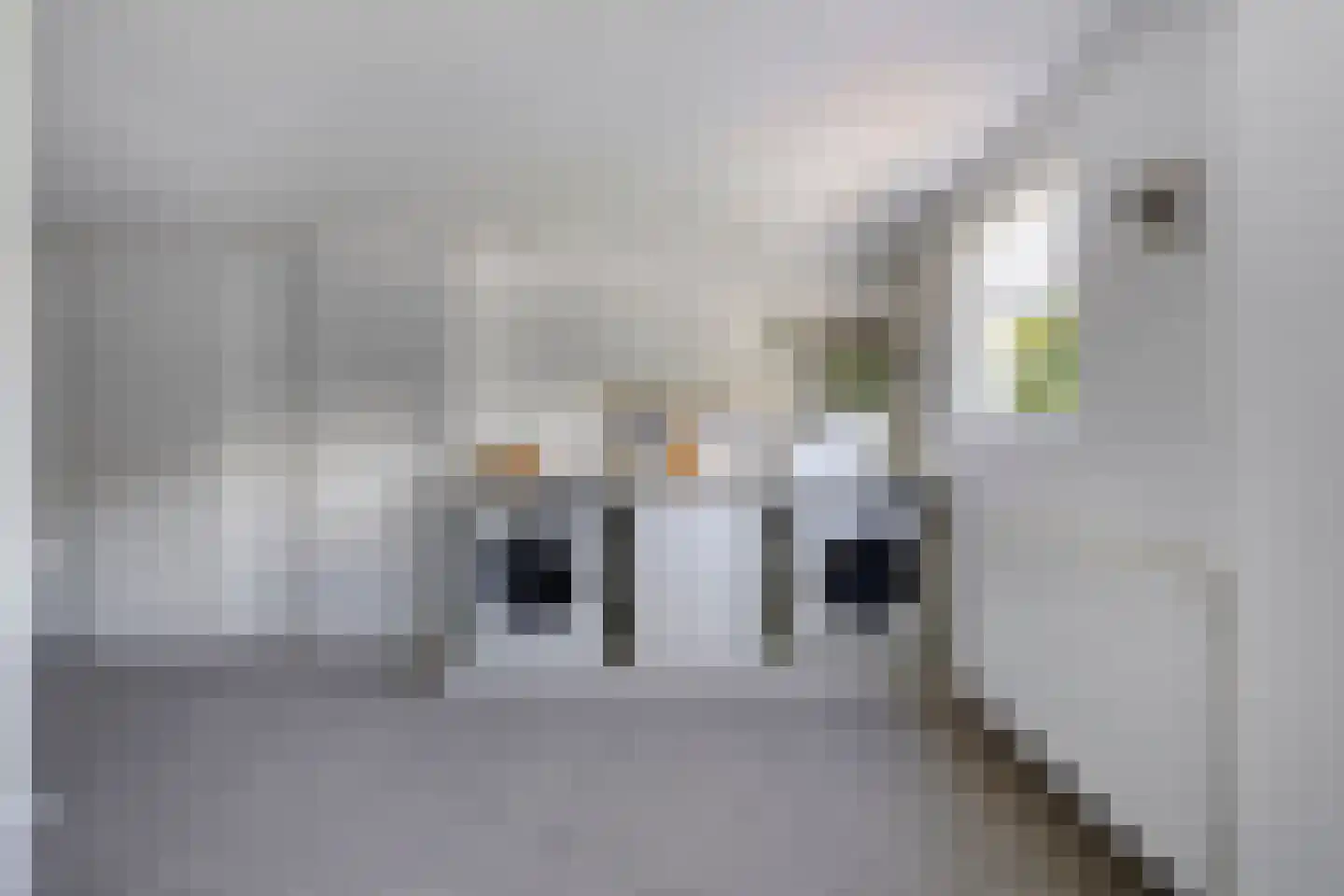 Moersbergenlaan 5 Arnhem thumbnail 19