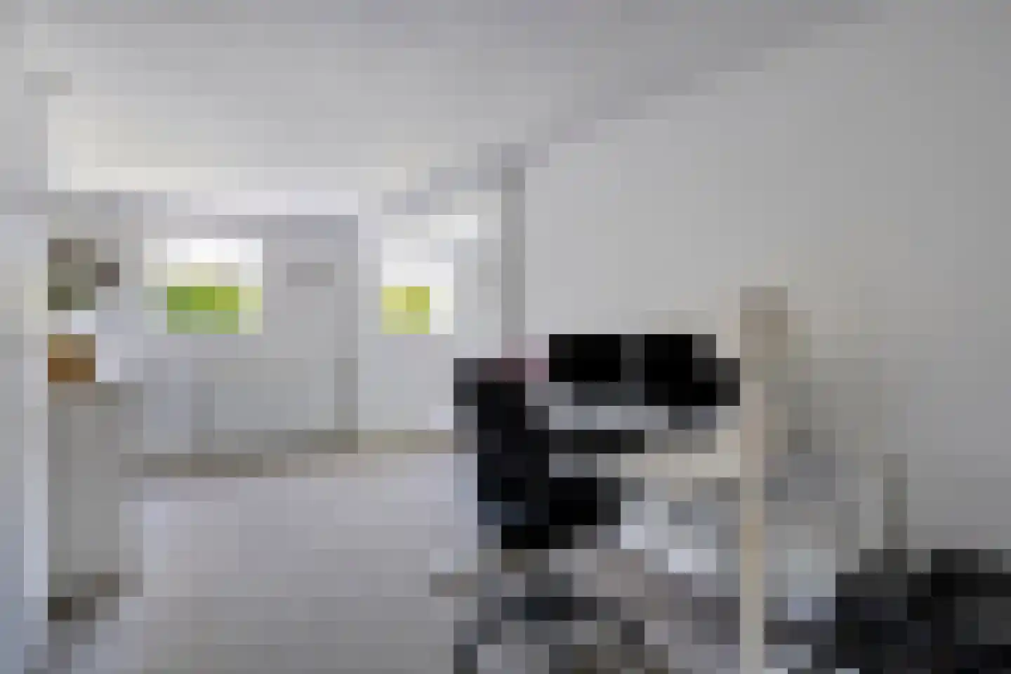 Moersbergenlaan 5 Arnhem thumbnail 22