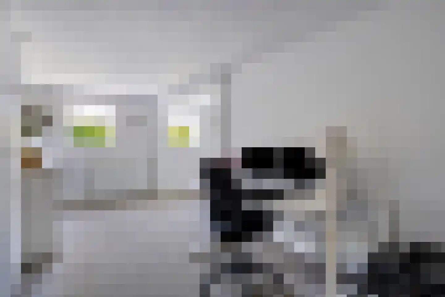 Moersbergenlaan 5 Arnhem thumbnail 22