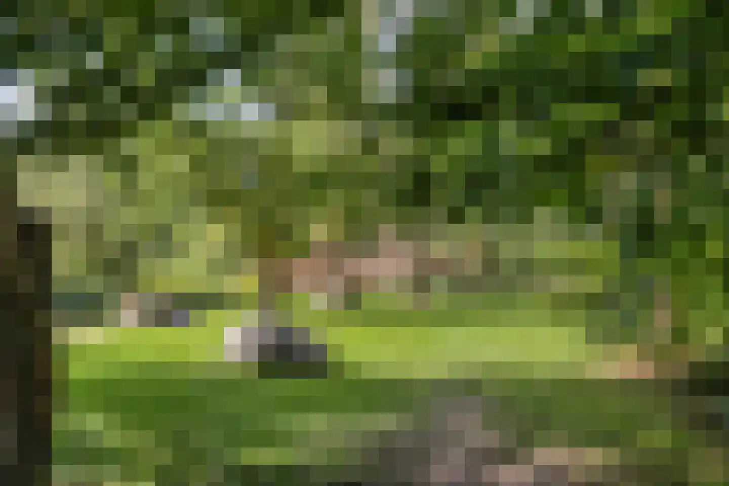 Moersbergenlaan 5 Arnhem thumbnail 43