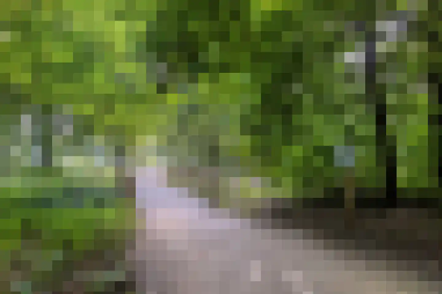 Moersbergenlaan 5 Arnhem thumbnail 44
