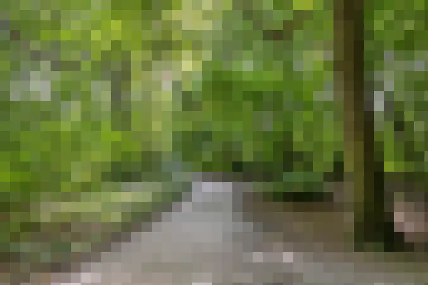 Moersbergenlaan 5 Arnhem thumbnail 45