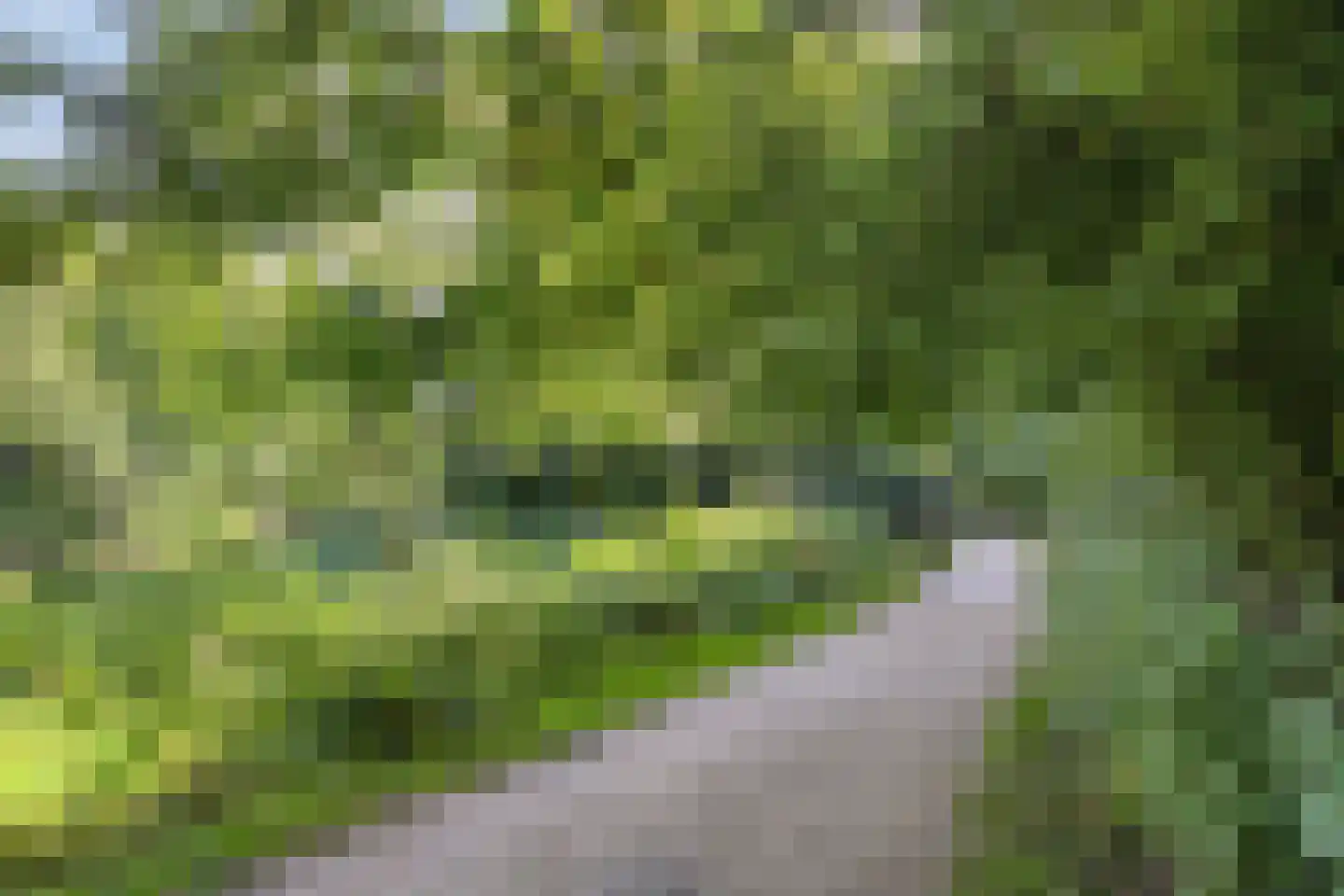Moersbergenlaan 5 Arnhem thumbnail 46