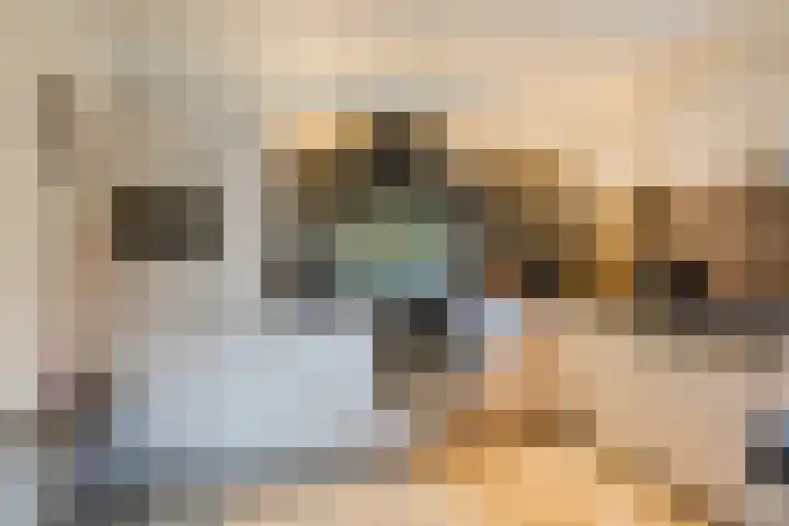 Moersberger erven 14 Nijensleek thumbnail 12