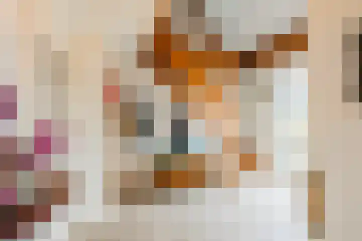 Moersberger erven 14 Nijensleek thumbnail 20