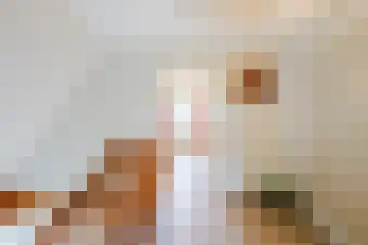 Moersberger erven 14 Nijensleek thumbnail 23