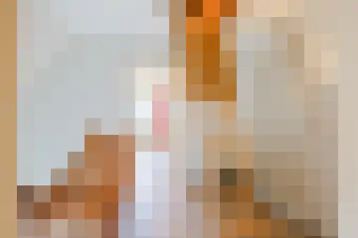 Moersberger erven 14 Nijensleek thumbnail 33