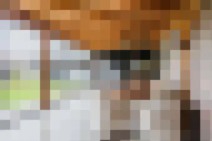 Moersberger erven 14 Nijensleek thumbnail 36