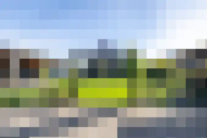 Moersberger erven 14 Nijensleek thumbnail 4