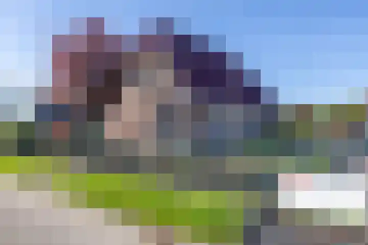 Moersberger erven 14 Nijensleek thumbnail 48