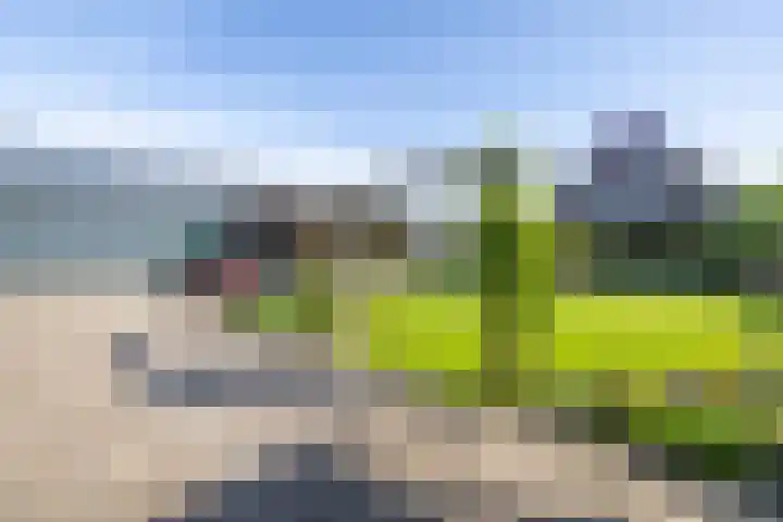 Moersberger erven 14 Nijensleek thumbnail 49