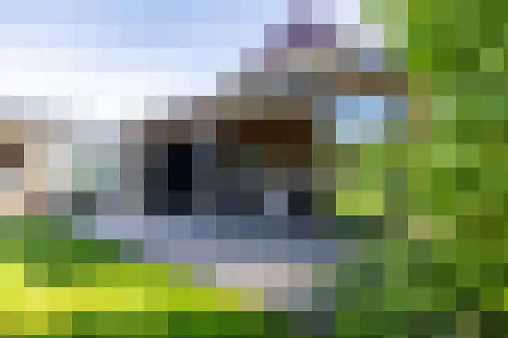 Moersberger erven 14 Nijensleek thumbnail 5