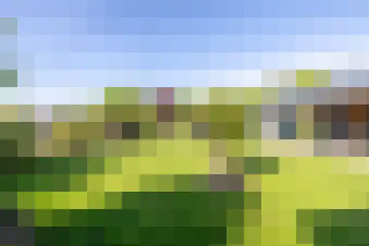 Moersberger erven 14 Nijensleek thumbnail 50