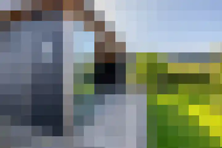 Moersberger erven 14 Nijensleek thumbnail 51
