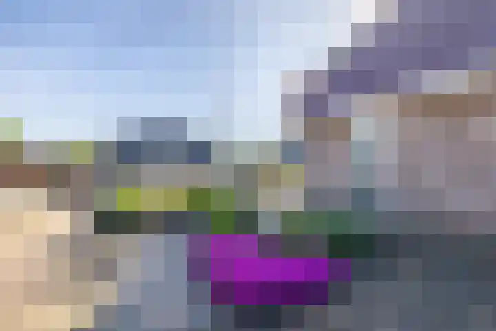 Moersberger erven 14 Nijensleek thumbnail 52