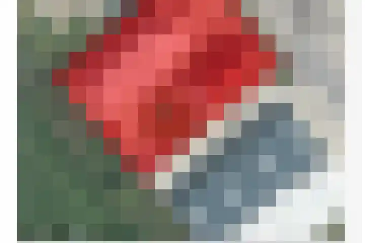 Moersberger erven 14 Nijensleek thumbnail 56