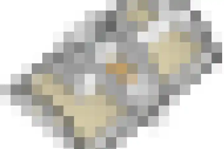 Moersberger erven 14 Nijensleek thumbnail 60