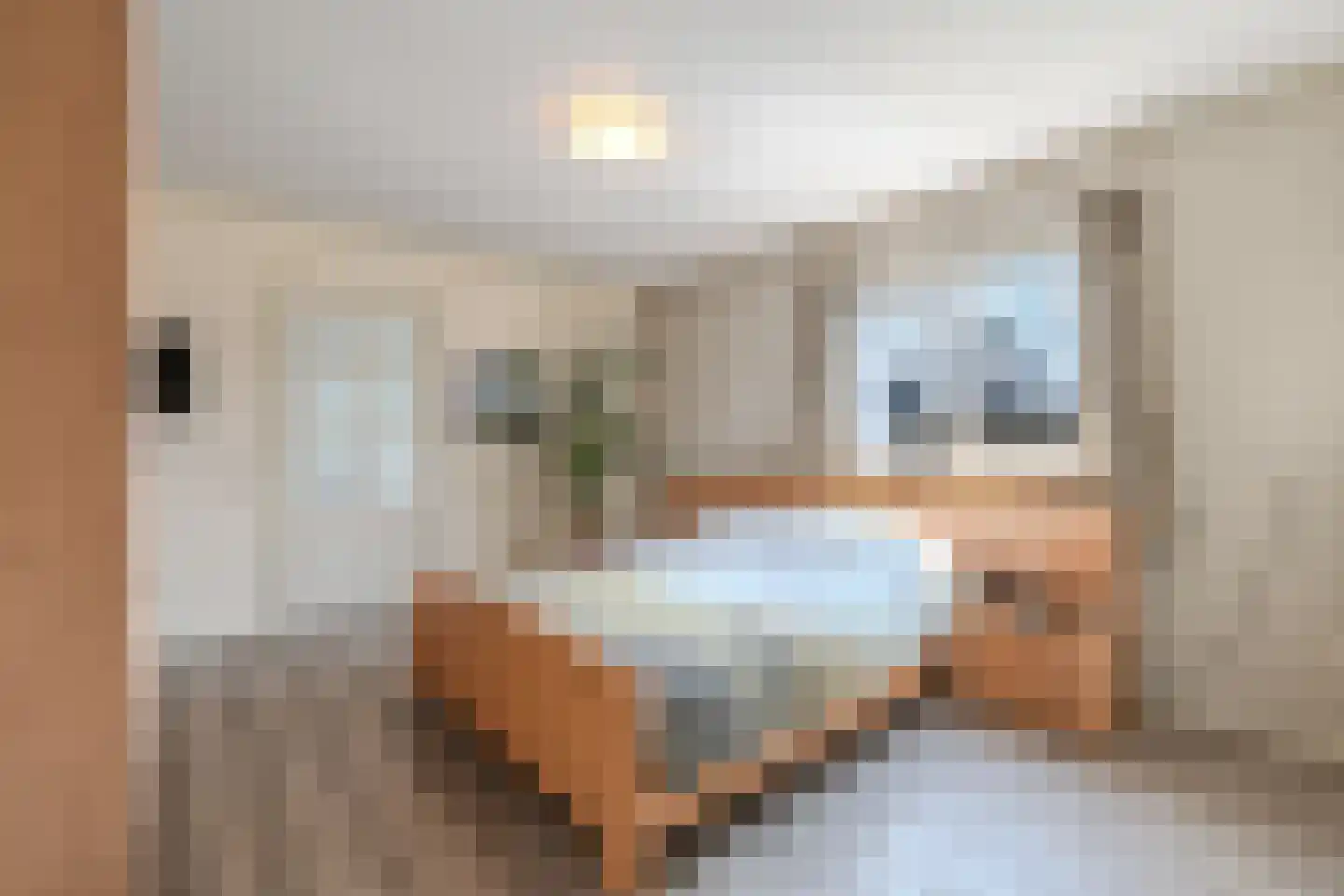Moersberger erven 15 Nijensleek thumbnail 18