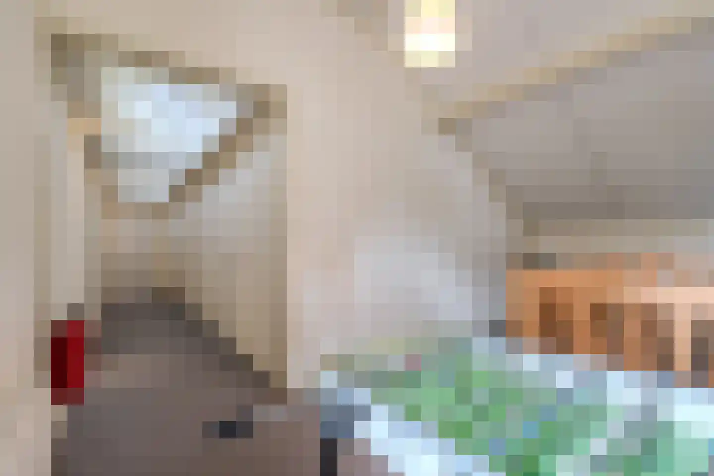 Moersberger erven 15 Nijensleek thumbnail 25