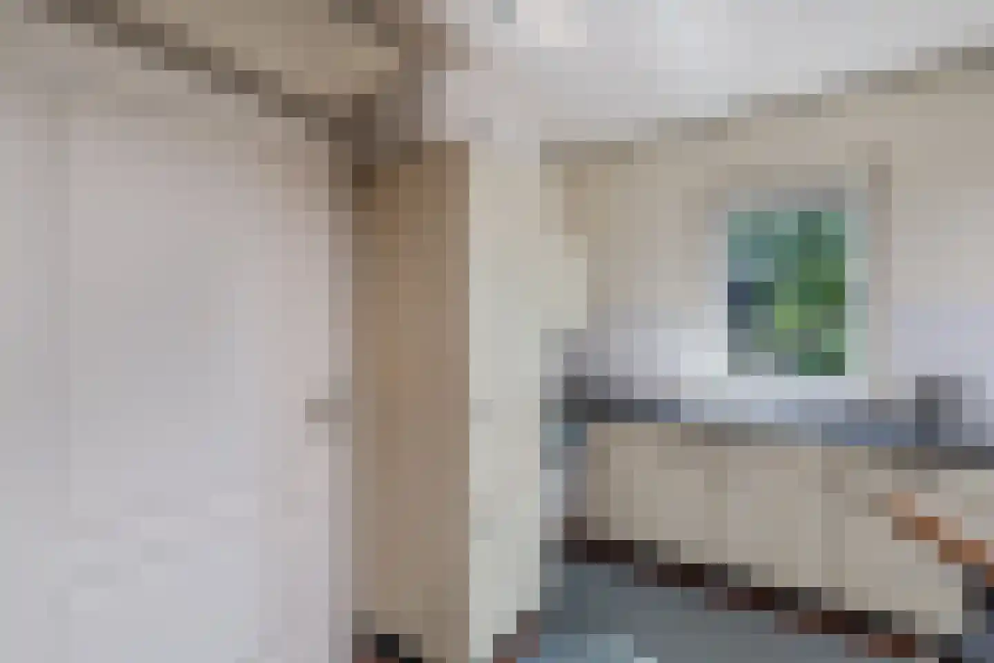 Moersberger erven 15 Nijensleek thumbnail 45