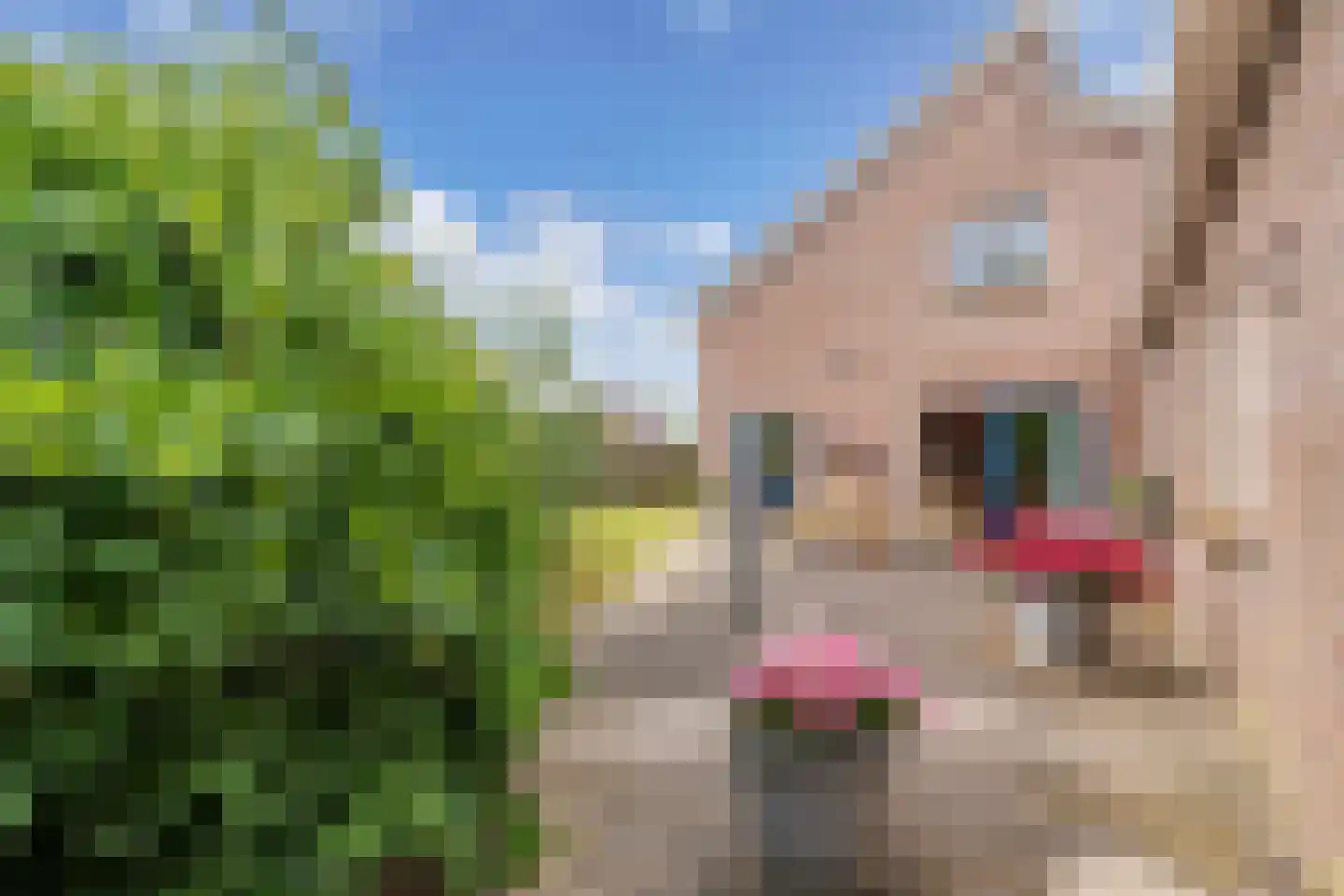 Moersberger erven 15 Nijensleek thumbnail 52