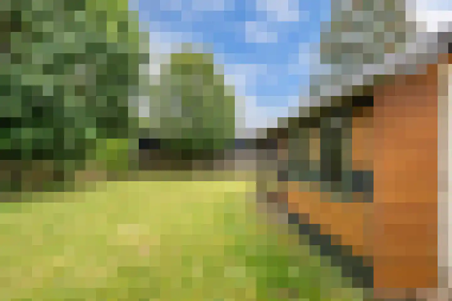 Moersberger erven 15 Nijensleek thumbnail 54
