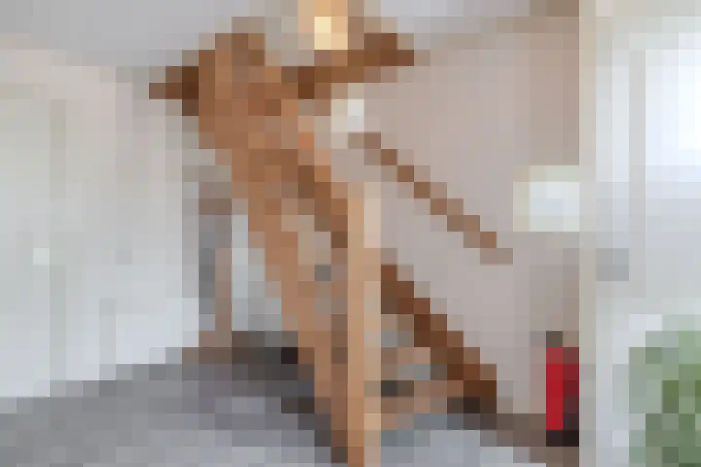 Moersberger erven 15 Nijensleek thumbnail 7