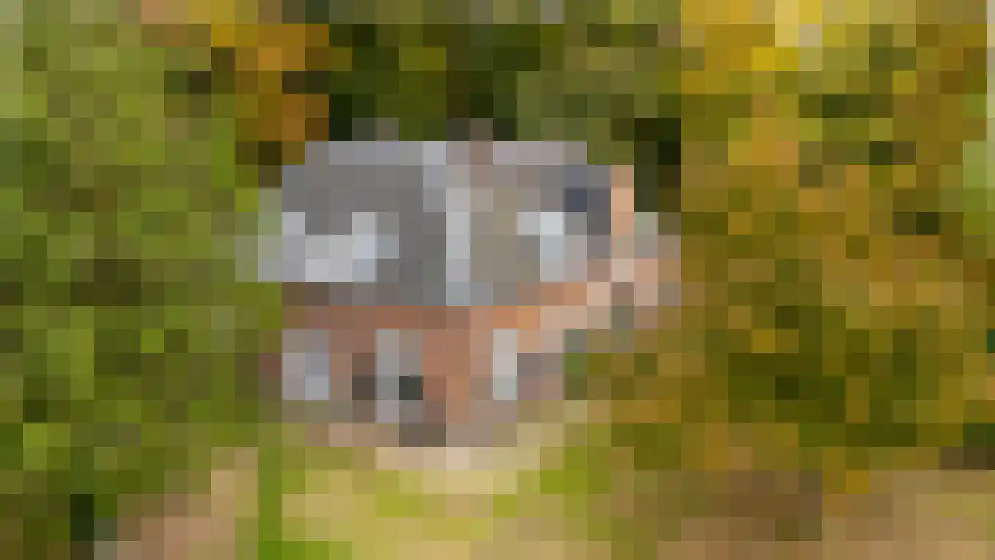 Moersbergselaan 6 Doorn thumbnail 5