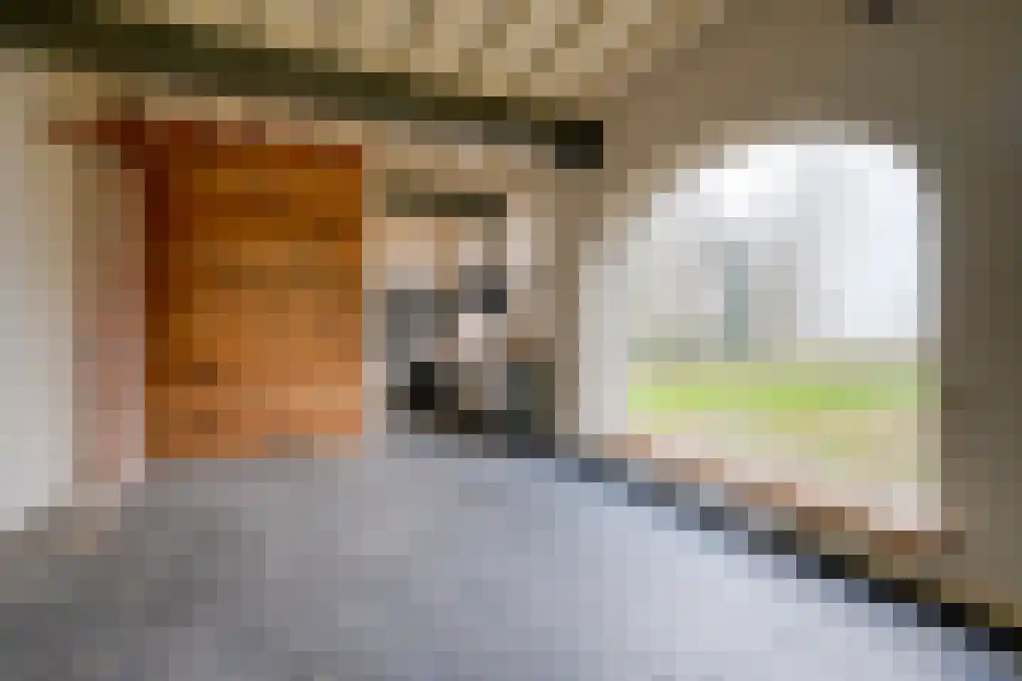 Moersbergselaan 6 Doorn thumbnail 8