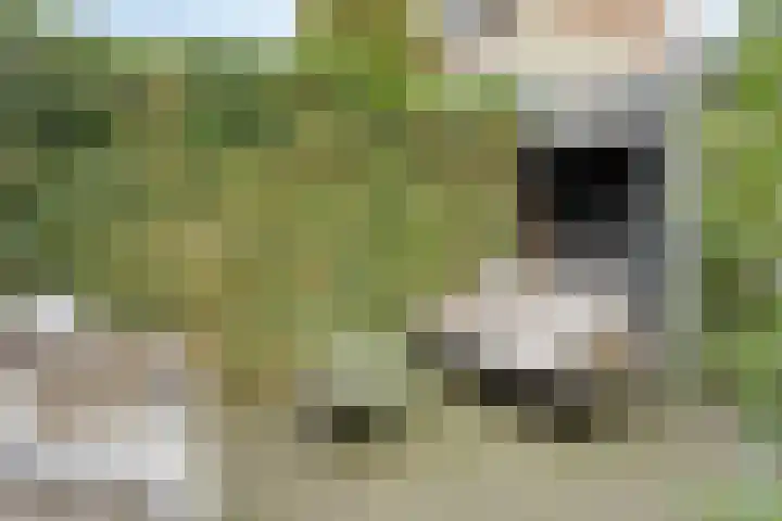 Moerschans 27 Veenendaal thumbnail 36