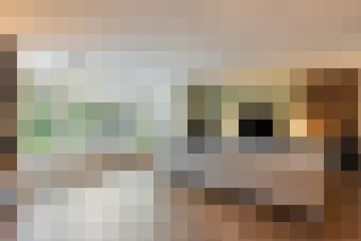 Moerschans 27 Veenendaal thumbnail 9