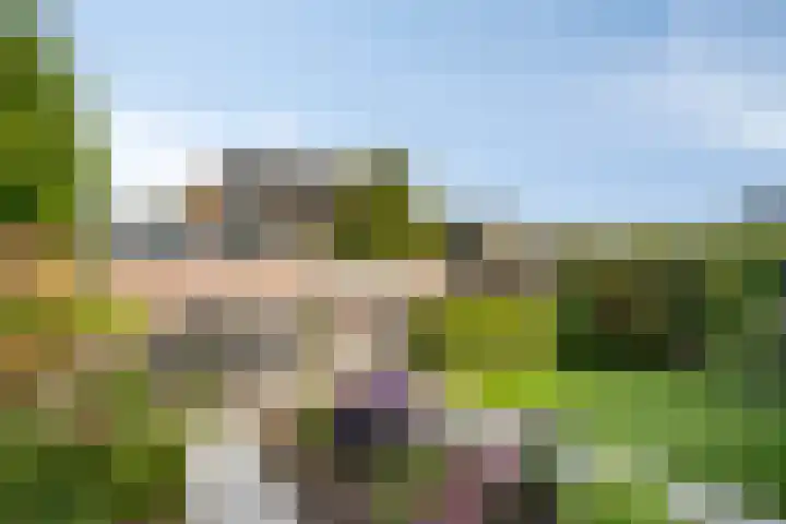 Moerschans 47 Veenendaal thumbnail 34