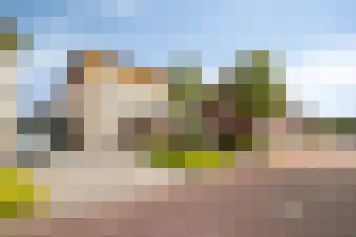 Moerschans 47 Veenendaal thumbnail 6